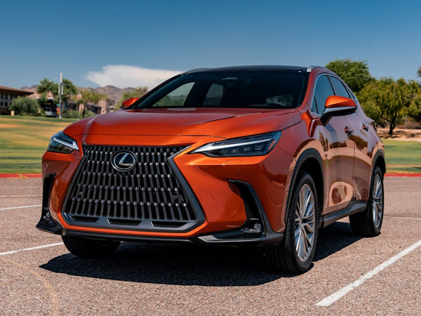 Racing Coilovers | 2014-2024 - LEXUS - NX Plug-in Hybrid AWD (Swift Rear Only)